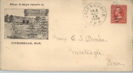 080256 Sc 279B TPO RPO JACK. & MOBILE // R. P. O.  >> MONTEAGLE, TENN.//REC´D.HOTEL CITRONELLE [w/ Letter; COVER DAMAGE] - Storia Postale