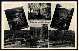 Wildemann Im Oberharz  -  Mehrbild Ansichtskarte  Ca.1955     (3587) - Wildemann