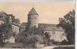 N5254 Freiberg I Sa Am Schloss Freudenstein  Germany Front/back Image - Freiberg (Sachsen)