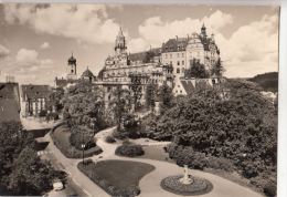 N5260 Sigmaringen An Der Donau Schloss Germany  Front/back Image - Sigmaringen