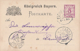 BAYERN  POSTKARTE 5 PFENNIG VIOLET - Sonstige & Ohne Zuordnung