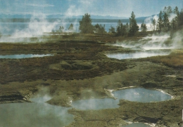 BF18640 Geyser Basin West Thum Yellowstone National Park USA Front/back Image - Yellowstone