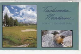 BF18673 Front Left Tpilumne Meadows Yosemite Nat Park Ca USA  Front/back Image - Yosemite