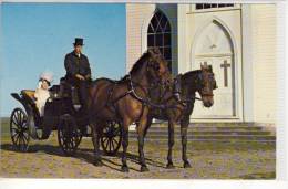 CARRIAGE CHARTER - Yesterday's Transportation Today,  Commercial Card - Taxis & Huurvoertuigen