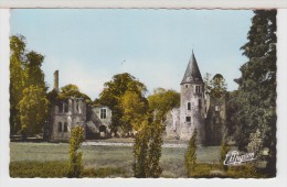 77 - FONTENAY TRESIGNY - Ruines Du Château Royal Du Vivier - Fontenay Tresigny