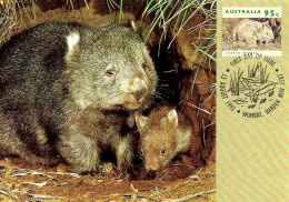 AUSTRALIA FDC MAXICARD WOMBAT ANIMAL 1 STAMP OF 95c VALID FOR POSTAGE WORLD ISSUED 13-08-1992 CTO READ DESCRIPTION!! - Covers & Documents