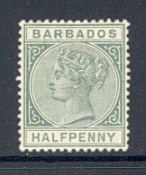 BARBADOS, 1882 ½d Dull Green Unused No Gum, Cat £28 - Barbades (...-1966)