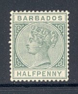 BARBADOS, 1882 ½d Dull Green Unused No Gum, Cat £28 - Barbados (...-1966)