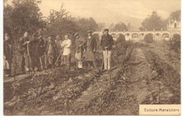 WOLUWE St PIERRE (1150) Culture Maraichère - St-Pieters-Woluwe - Woluwe-St-Pierre