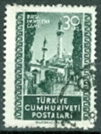 Türkei 30 K. Gest. Moschee Bäume - Mosques & Synagogues