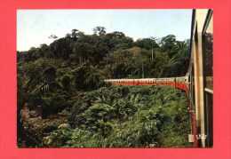 Congo - Train De Voyageurs Dans La Forêt Du Mayombe - Pointe-Noire