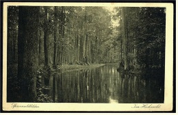 Spreewald  -  Im Hochwald  -  Ansichtskarte Ca.1930    (3525) - Lübbenau