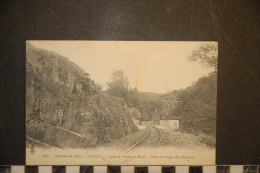 661 - ENVIRONS DE VICHY - CUSSET - LIGNE DE CUSSET AU MAYET - DANS LES GORGES DE MALAVAUX-TRANSPORTS -TRAINS - Andere & Zonder Classificatie