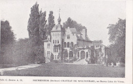 BRUSSEGEM : Château De Wolvendael - Merchtem