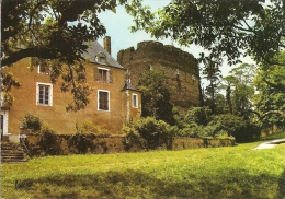 La Tour Du Chateau - Saint Sauveur En Puisaye