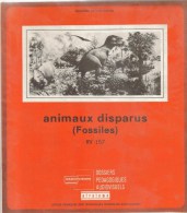 DOSSIER SCOLAIRE MINISTERE EDUCATION NATIONALE - Animaux Disparus (fossiles) : Livret Notice Incomplet 16 Diapositives - Learning Cards