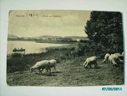 MALENTE PARTIE AM KELLERSEE,  OLD POSTCARD, 0 - Malente-Gremsmühlen