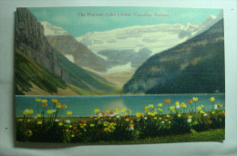 The Poppies, Lake Louise, Canadian Rockies - Lac Louise