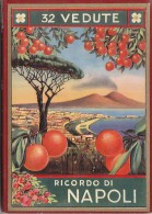 Publicité - Napoli - Ricordo Di Napoli - Dépliant - Vue Panoramique Ville - Verso Légendé - Plan Ville - Publicités