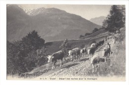 L1503-  Gryon Départ Des Vaches Pour La Montagne - Gryon