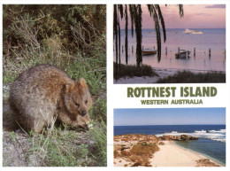 (PH 222) Australia - WA - Rootnest Island And Qokka - Autres & Non Classés