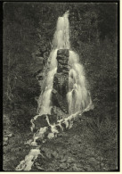 Trusentaler Wasserfall  -  Bei Herges-Vogtei  -  Ansichtskarte Ca.1925    (3563) - Meiningen