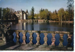 Chateaux En Limousin (haute Vienne) Nieul N°87/161 Theojac Dentelée - Nieul