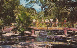 Bridge At Alligator Farm St Augustine Florida - St Augustine