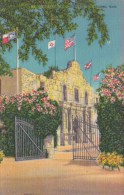 The Alamo And Courtyard San Antonio Texas - San Antonio