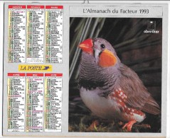 CALENDRIER - ALMANACH DES POSTES ET DES TELEGRAPHES - Oiseaux -  ANNEE 1993  - SEINE ET MARNE - Grand Format : 1991-00