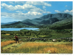 (PH 666) Ireland - West Cork Farming - Cork