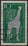 Giraffe ZOO - DDR / Used - Giraffen