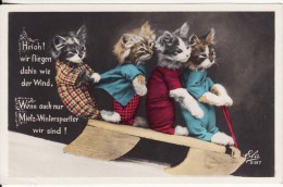 Carte Postale Montage CHAT-Animaux Personnalisé-Humanisé Sur LUGE Fictive Jouet - Chats