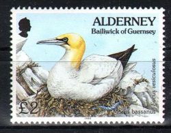 Alderney - 1995 2£ Birds MNH__(TH-5529) - Alderney