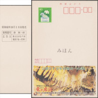 Japon 1987. Entier Postal Publicitaire Echocard Spécimen. Grottes De Ryugashido, Préfecture De Shizuoka - Autres & Non Classés