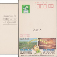 Japon 1987. Entier Postal Publicitaire Echocard Spécimen. Grottes D'Akiyoshido Et Montagne, Préfecture De Yamaguchi - Autres & Non Classés