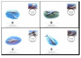 (WWF-334) FDC W.W.F. British Antarctic Territory Blue Whale 2003 - Brieven En Documenten