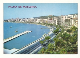 Cp, Espagne, Iles Baléares, Mallorca, Palma, Vue De La Promenade Maritime - Palma De Mallorca