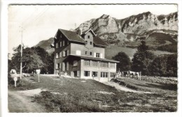 CPSM THOLLON (Haute Savoie) - 1000 M "Chez Cachat" Chalet Brise Alpestre Dans Le Fond Les Memises 1682 M - Thollon