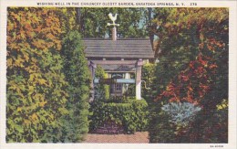 Wishing Well In The Chauncey Olcott Garden Saratoga Springs New York - Saratoga Springs