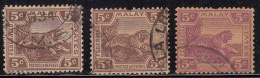 5c Tiger, 3 Diff.,  Tiger Motif, Federated Malay State, Malaya As Scan - Federated Malay States