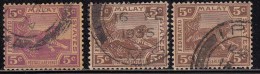 5c Tiger, 3 Diff.,  Tiger Motif, Federated Malay State, Malaya As Scan - Federated Malay States