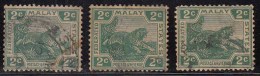 2c Tiger, 3 Diff.,  Tiger Motif, Federated Malay State, Malaya As Scan - Federated Malay States