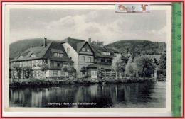 Ilsenburg/Harz-Am Forellenteich, Verlag: Willi Koch, Halberstadt,  POSTKARTE, Erhaltung: I-II, Unbenutzt - Ilsenburg