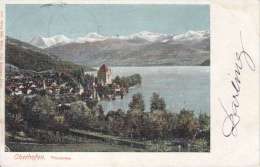 OBERHOFEN-THUNERSEE-COULEUR-DOS UNIQUE-4.08.1905-TB - Oberhofen Am Thunersee