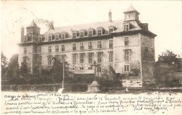 RECKEM (3621) Lez LANAKEN : Vue Générale Du Château. CPA Précurseurs. - Lanaken