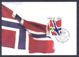 Norway Maxicard Mi 1106 To Winter Olympics Lilehammer , Flags 1992 - Inverno1994: Lillehammer