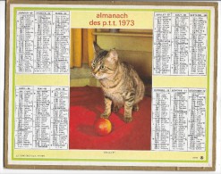 CALENDRIER - ALMANACH DES POSTES ET DES TELEGRAPHES - ANNEE 1973 - Chat -  REGION PARISIENNE - Grand Format : 1971-80