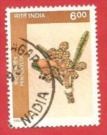 INDIA USATO - 1997 - Birbal Sahni Institute Of Palaeobotany, Lucknow - Pentoxylon - 6 ₨  - Michel IN 1570 - Used Stamps