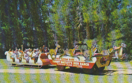 Sleigh Ride Tommy Bartlett's Deer Ranch Silver Springs Florida - Silver Springs